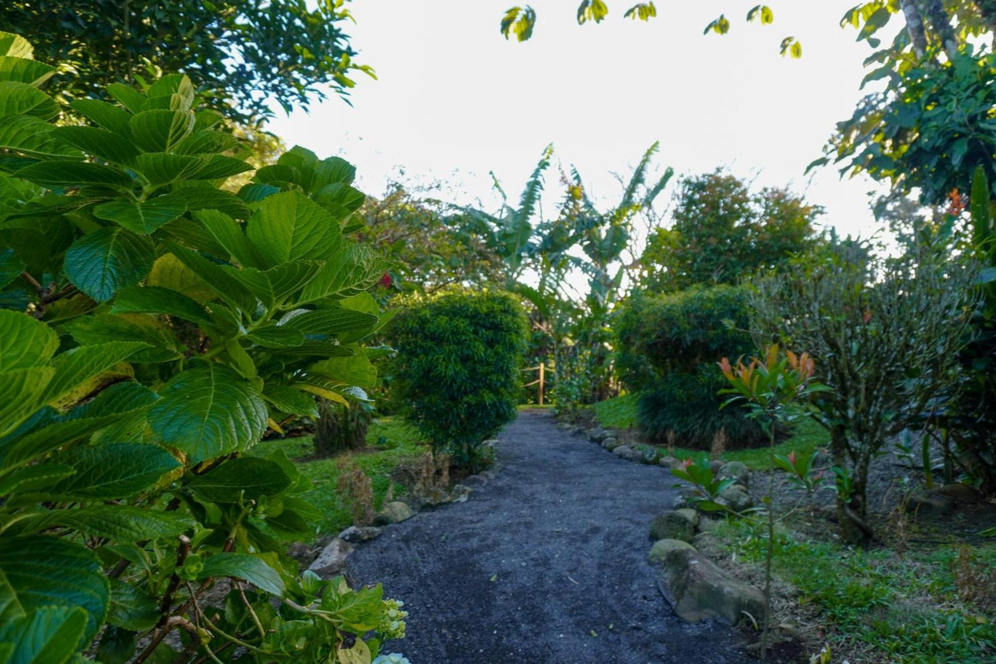 Sueno Rio Celeste Boutique B&B บิฆากัว ภายนอก รูปภาพ