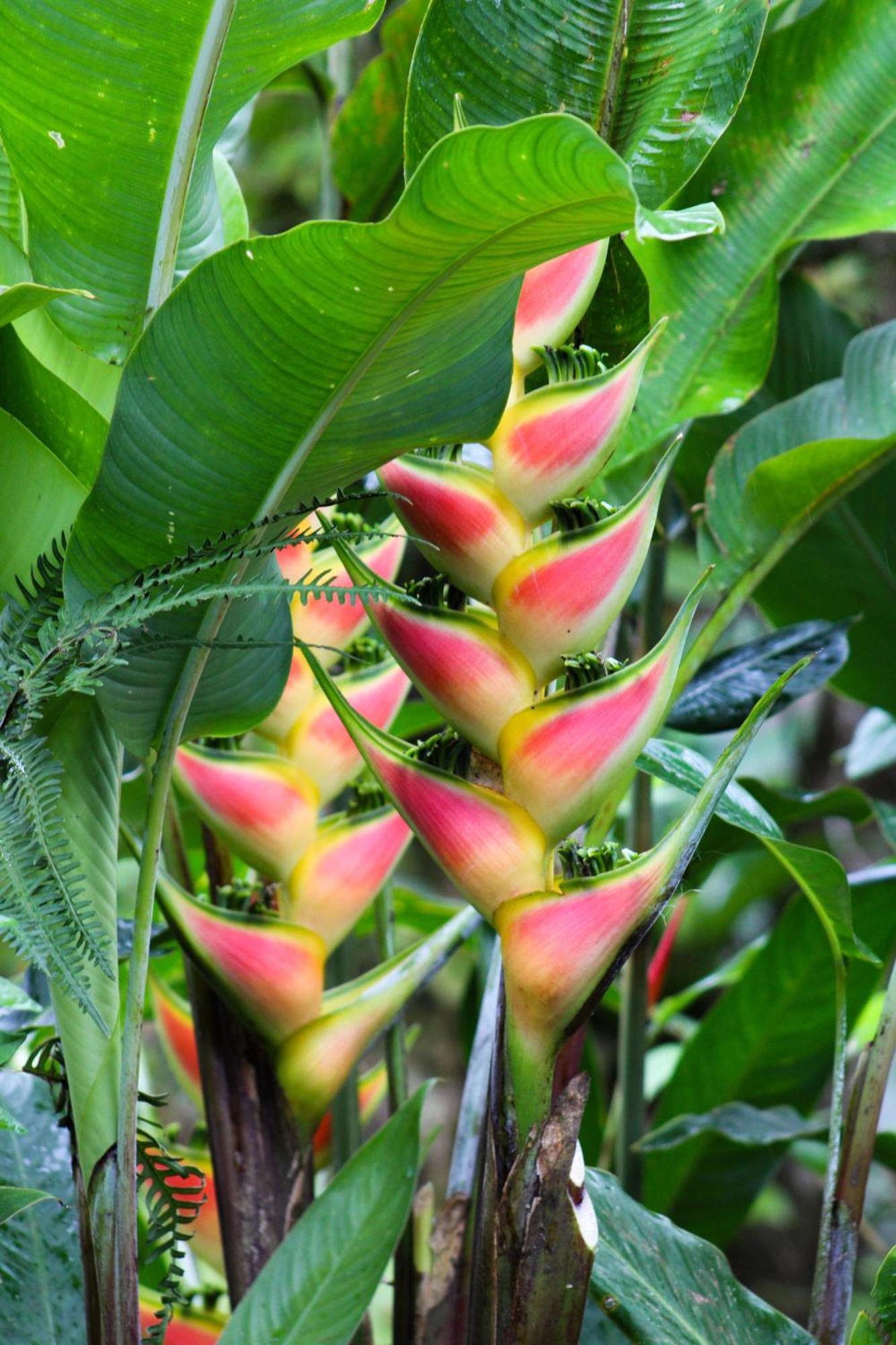 Sueno Rio Celeste Boutique B&B บิฆากัว ภายนอก รูปภาพ