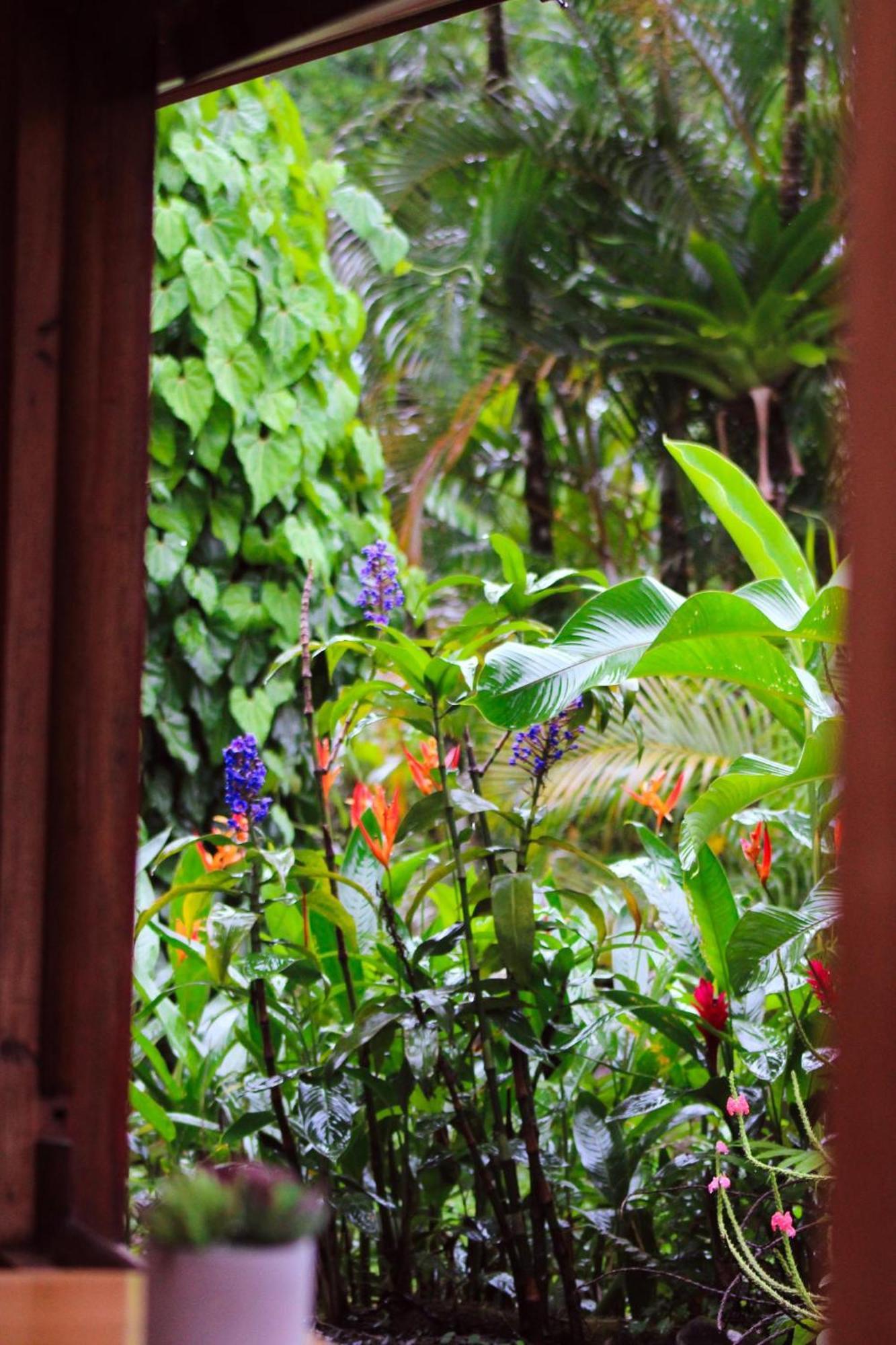 Sueno Rio Celeste Boutique B&B บิฆากัว ภายนอก รูปภาพ