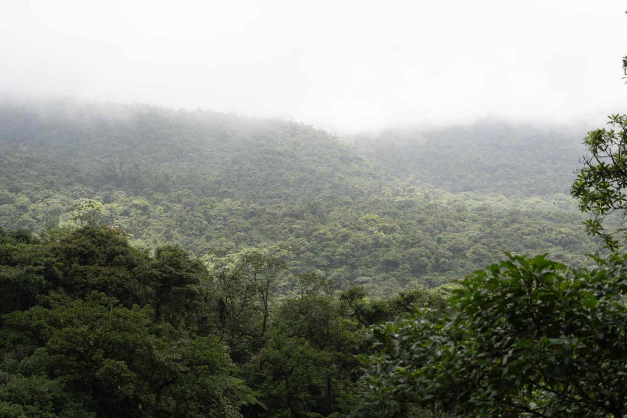 Sueno Rio Celeste Boutique B&B บิฆากัว ภายนอก รูปภาพ